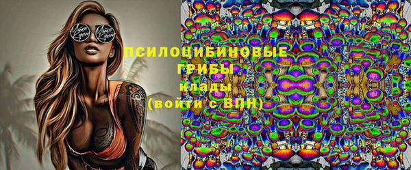 мдпв Иннополис