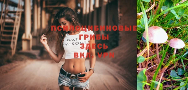 мдпв Иннополис
